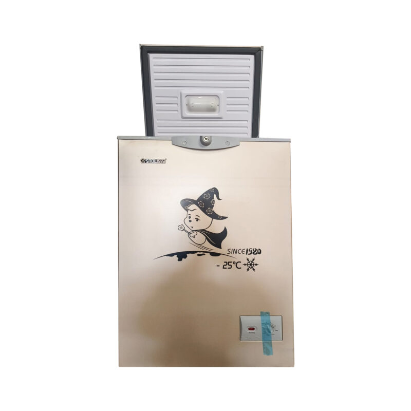 congélateur snowsea horizontal 190 litres gold bd-158g