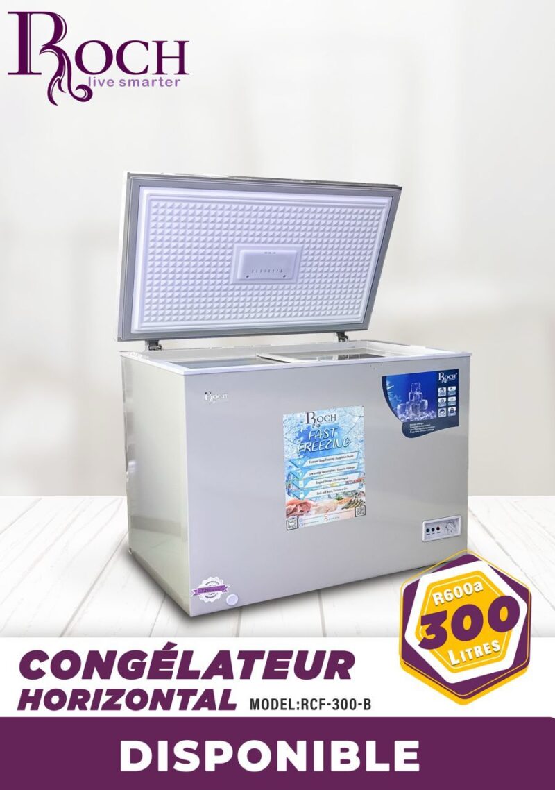 congélateur Roch horizontal 300 litres gris rcf300i